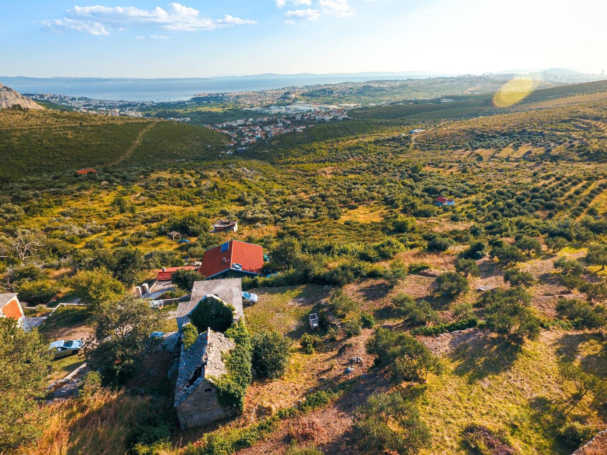 Villa Olive Garden House In Zrnovnica With A View & Bbq Esterno foto
